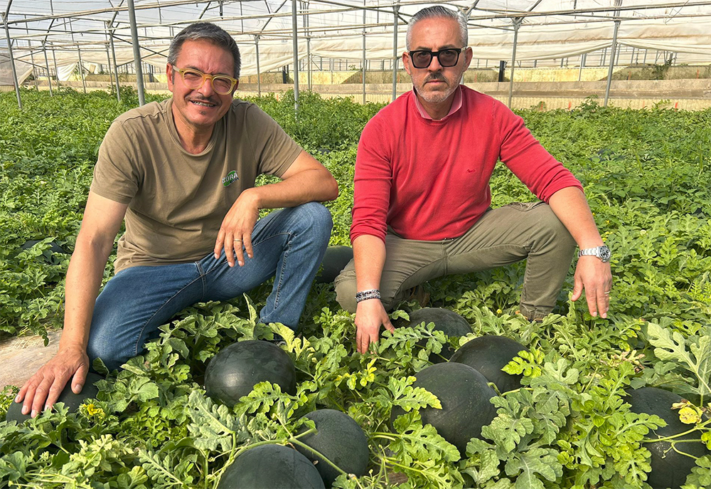 Da destra: Sebastiano Sipione e Francesco Furnari, responsabile tecnico commerciale per la Sicilia di Cora Seeds